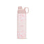 Floral Blush Fizz Haze 900 ML - 01010